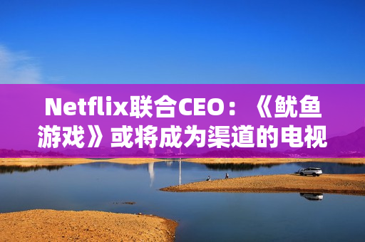 Netflix联合CEO：《鱿鱼游戏》或将成为渠道的电视剧（netflix投资鱿鱼游戏）