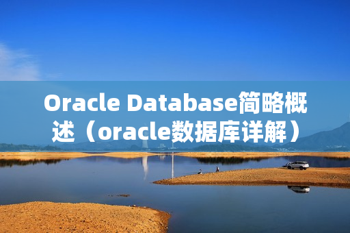 Oracle Database简略概述（oracle数据库详解）