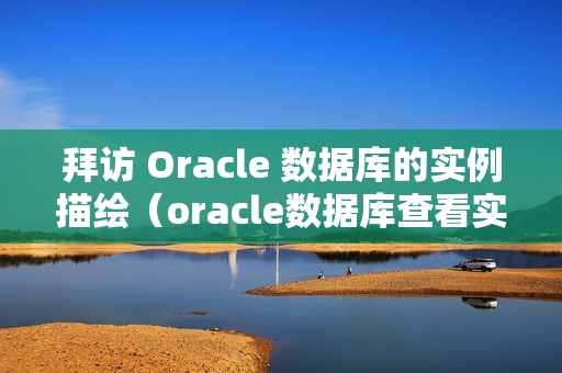 拜访 Oracle 数据库的实例描绘（oracle数据库查看实例）