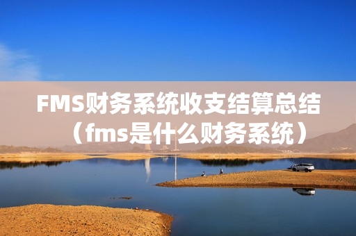 FMS财务系统收支结算总结（fms是什么财务系统）