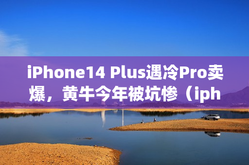 iPhone14 Plus遇冷Pro卖爆，黄牛今年被坑惨（iphone 14 pro被曝）