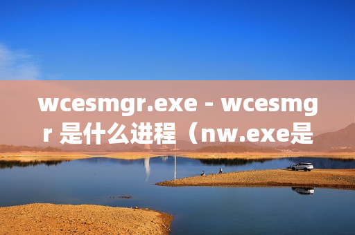 wcesmgr.exe - wcesmgr 是什么进程（nw.exe是什么进程）