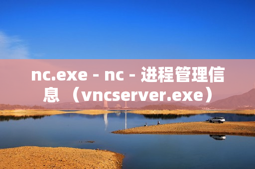 nc.exe - nc - 进程管理信息 （vncserver.exe）